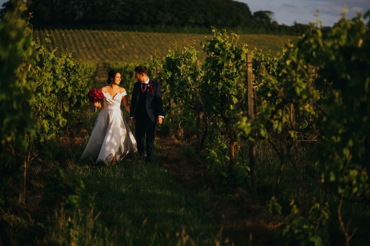 Gallery Item 11 for Denbies Wine Estate