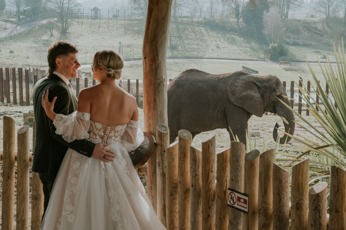 Gallery Item 12 for Safari Venues - West Midland Safari Park