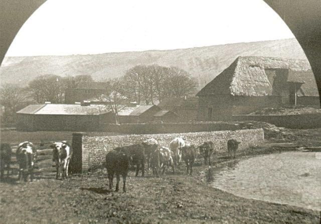 Gallery Item 9 for Farthingloe Barn