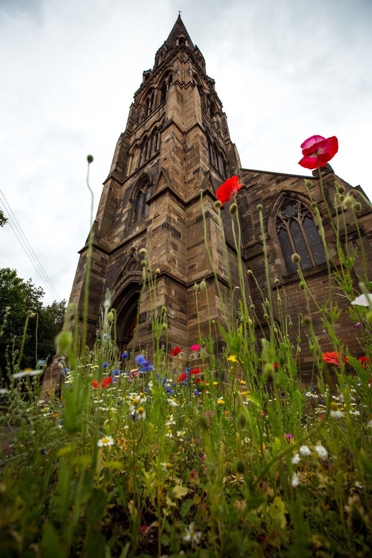 Gallery Item 9 for Cottiers